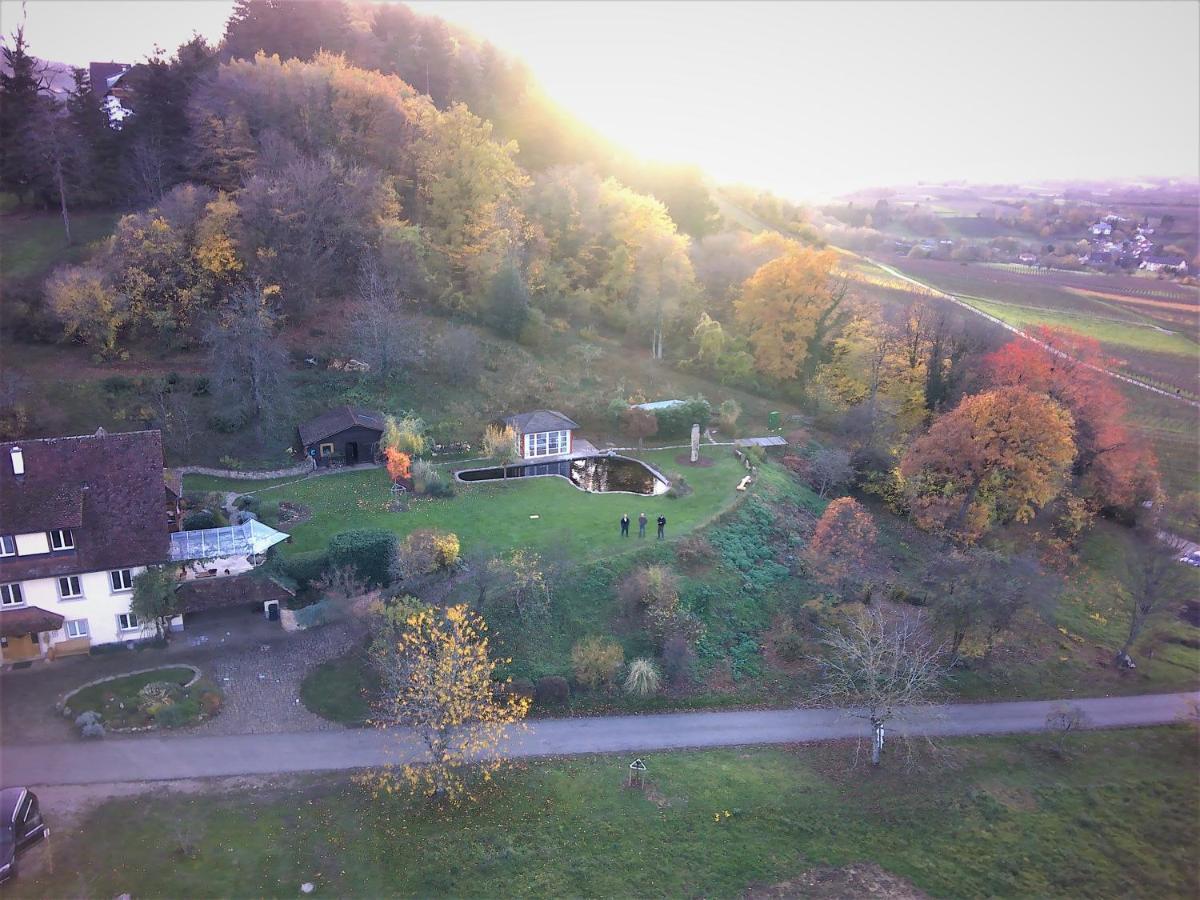 Paradies 2 Castellberg-jakobsweg Döttingen